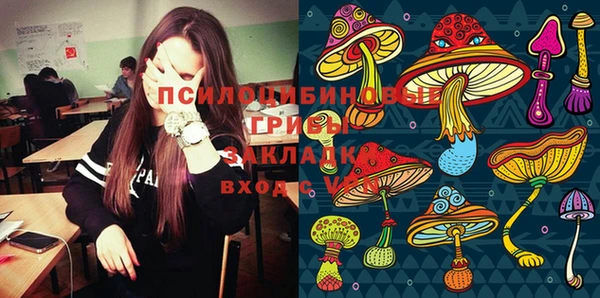метадон Белокуриха