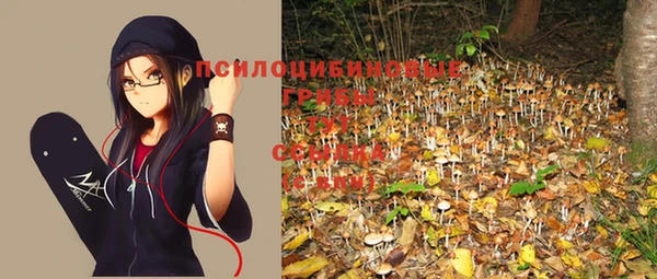 метадон Белокуриха