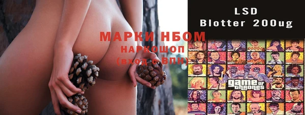 стаф Богданович