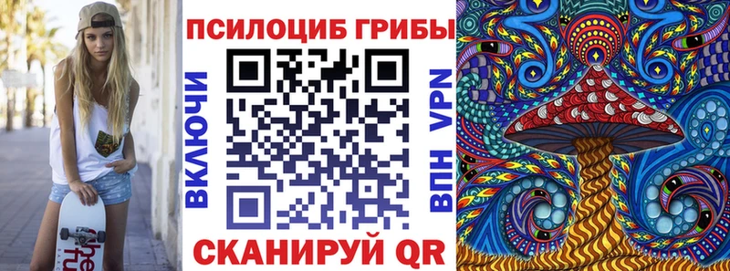 купить наркотики сайты  Севск  Псилоцибиновые грибы MAGIC MUSHROOMS 